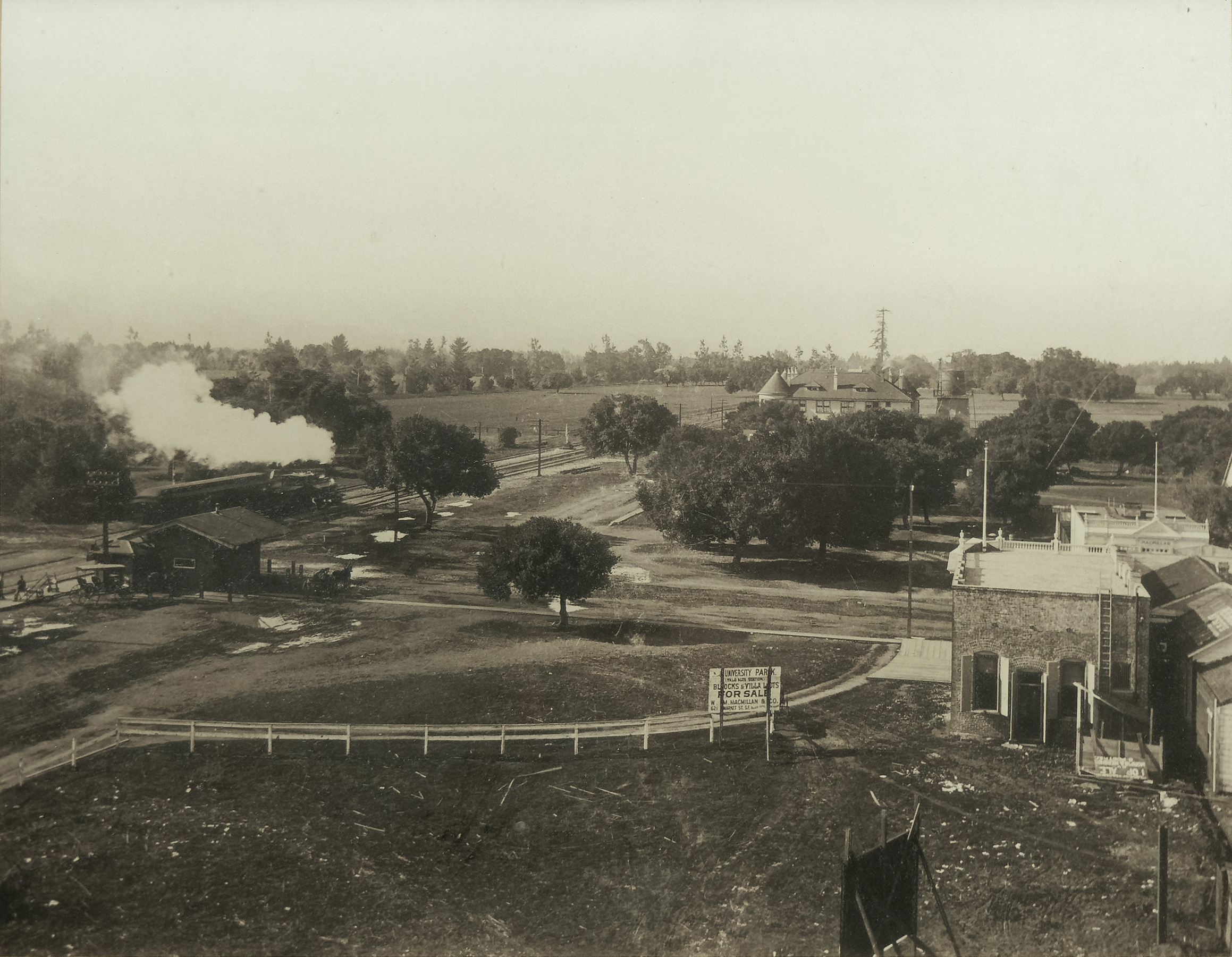 Historic 1894 view along University Avenue toward El Palo Alto